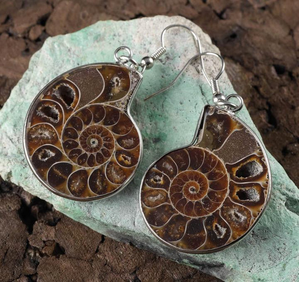 Fossil Ammonite high quality Earrings post